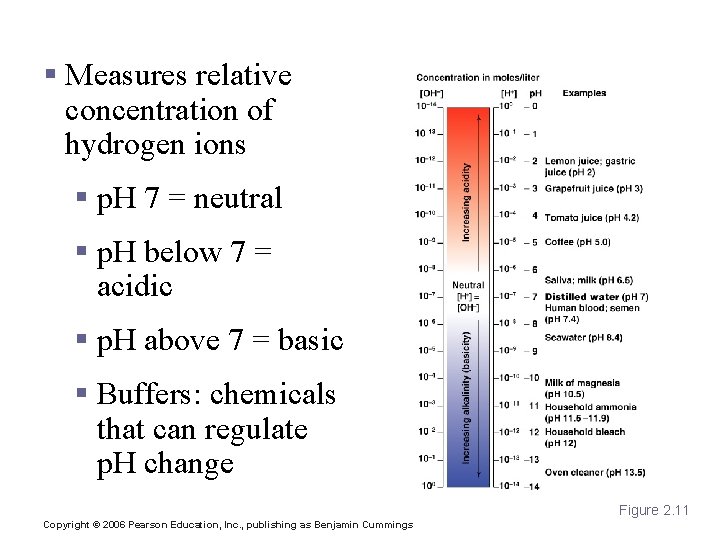 p. H § Measures relative concentration of hydrogen ions § p. H 7 =