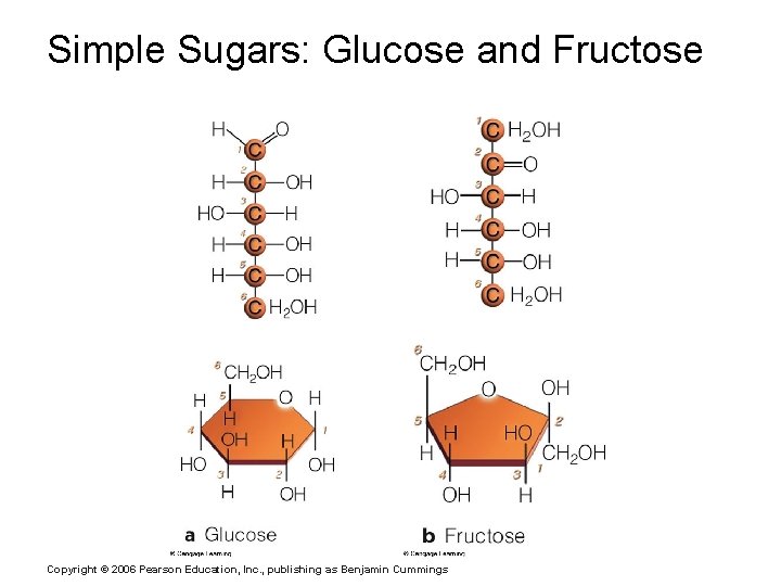 Simple Sugars: Glucose and Fructose Copyright © 2006 Pearson Education, Inc. , publishing as