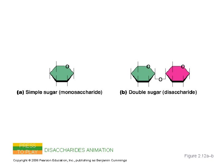 Carbohydrates PRESS TO PLAY DISACCHARIDES ANIMATION Copyright © 2006 Pearson Education, Inc. , publishing