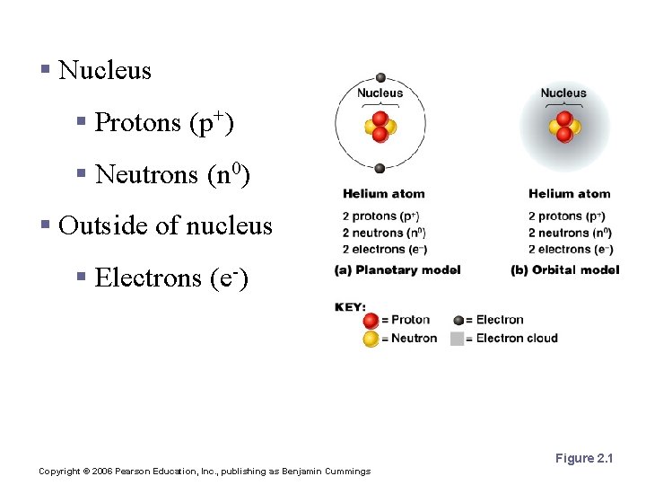 Atomic Structure § Nucleus § Protons (p+) § Neutrons (n 0) § Outside of