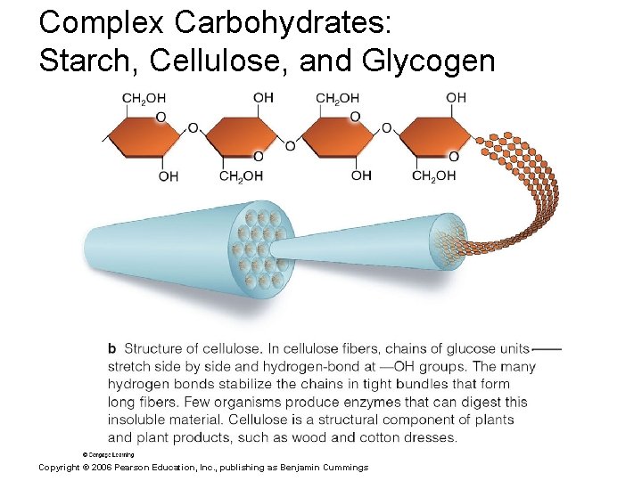 Complex Carbohydrates: Starch, Cellulose, and Glycogen Copyright © 2006 Pearson Education, Inc. , publishing