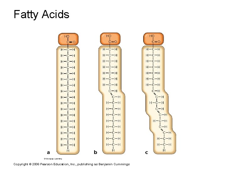 Fatty Acids Copyright © 2006 Pearson Education, Inc. , publishing as Benjamin Cummings 