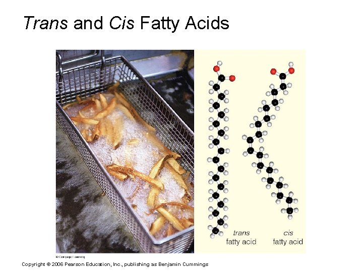 Trans and Cis Fatty Acids Copyright © 2006 Pearson Education, Inc. , publishing as