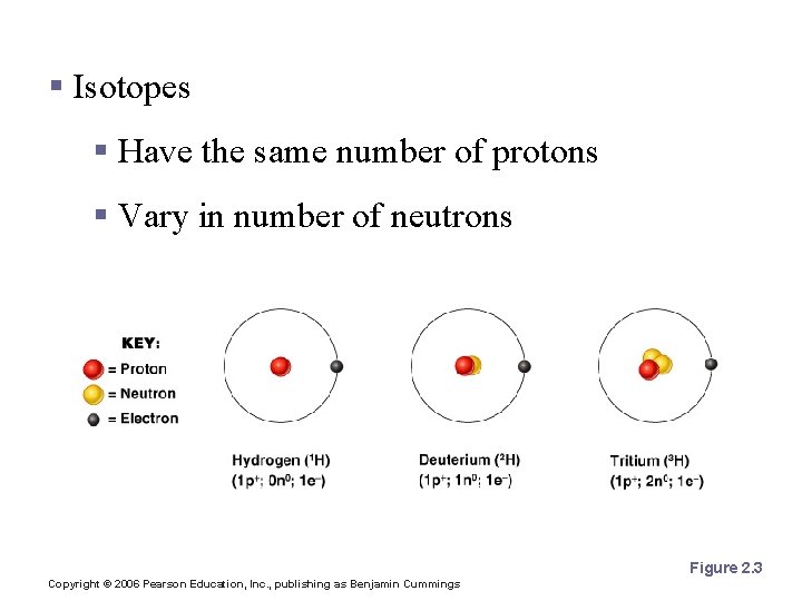 Isotopes and Atomic Weight § Isotopes § Have the same number of protons §