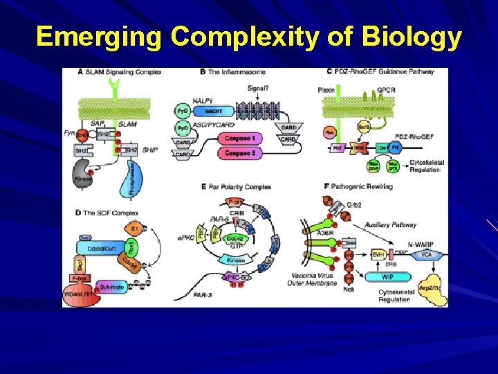Emerging Complexity of Biology 