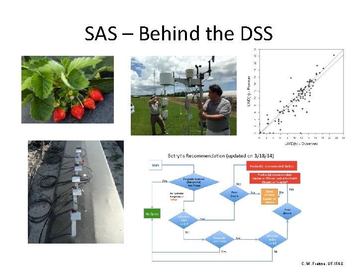 SAS – Behind the DSS C. W. Fraisse, UF-IFAS 