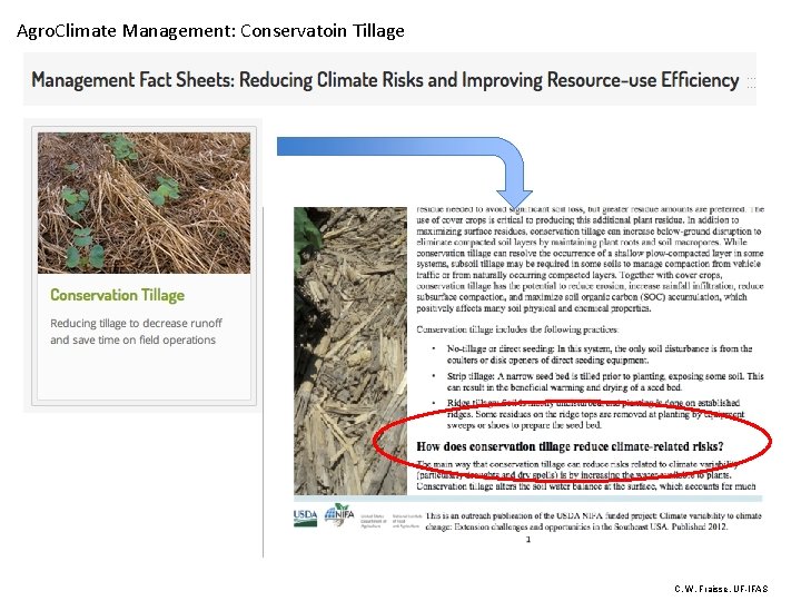 Agro. Climate Management: Conservatoin Tillage C. W. Fraisse, UF-IFAS 