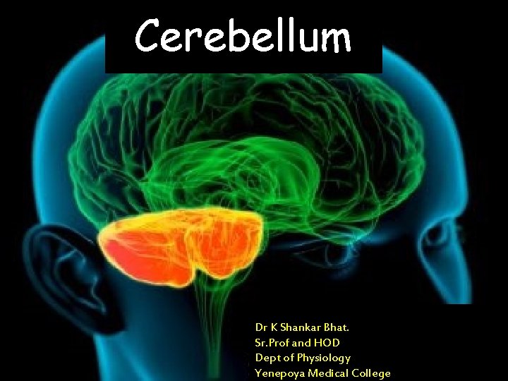 Cerebellum Dr K Shankar Bhat. Sr. Prof and HOD Dept of Physiology Yenepoya Medical