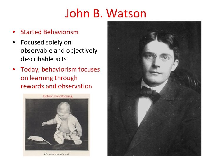 John B. Watson • Started Behaviorism • Focused solely on observable and objectively describable