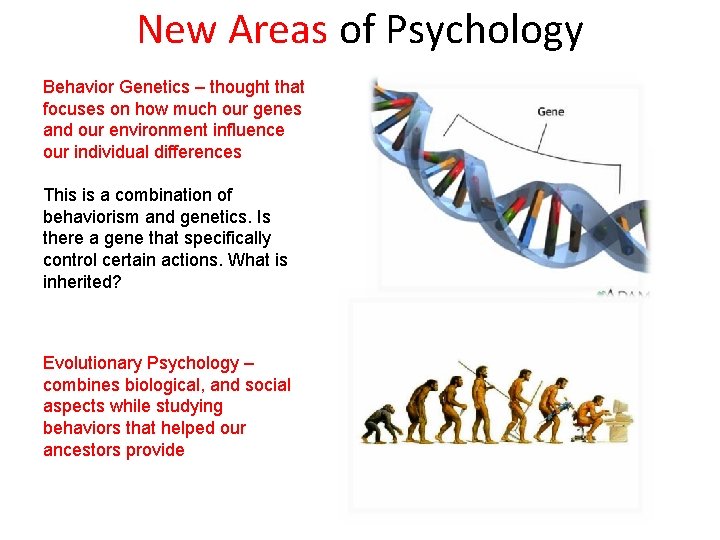 New Areas of Psychology Behavior Genetics – thought that focuses on how much our