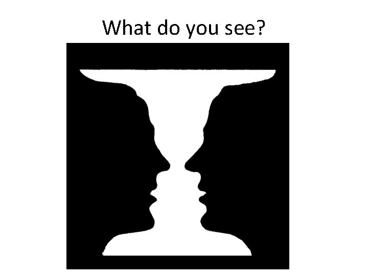 What do you see? 