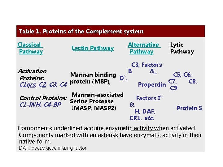 Table 1. Proteins of the Complement system Classical Pathway Lectin Pathway Activation Mannan binding