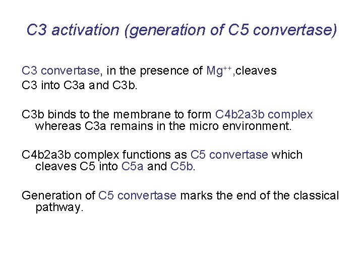 C 3 activation (generation of C 5 convertase) C 3 convertase, in the presence