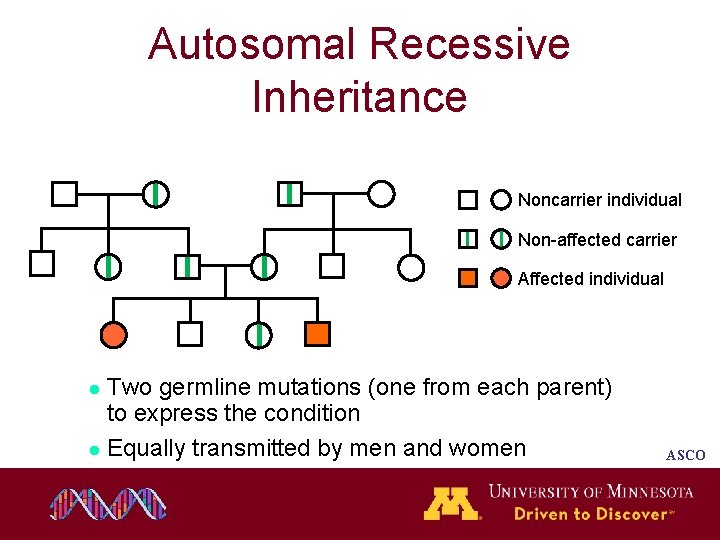 Autosomal Recessive Inheritance Noncarrier individual Non-affected carrier Affected individual Two germline mutations (one from Autosomal Recessive Inheritance Noncarrier individual Non-affected carrier Affected individual Two germline mutations (one from