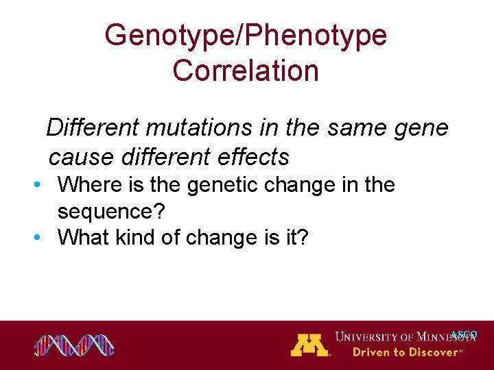 Genotype/Phenotype Correlation Different mutations in the same gene cause different effects • Where is Genotype/Phenotype Correlation Different mutations in the same gene cause different effects • Where is