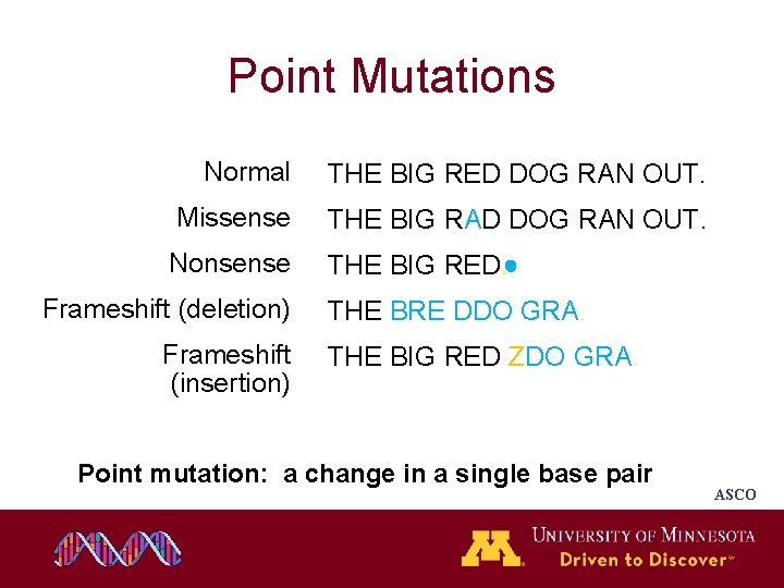 Point Mutations Normal THE BIG RED DOG RAN OUT. Missense THE BIG RAD DOG Point Mutations Normal THE BIG RED DOG RAN OUT. Missense THE BIG RAD DOG