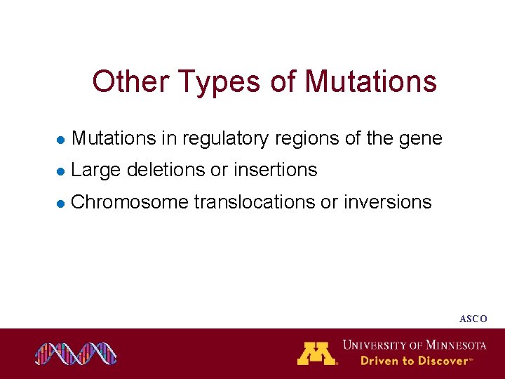 Other Types of Mutations l Mutations in regulatory regions of the gene l Large Other Types of Mutations l Mutations in regulatory regions of the gene l Large