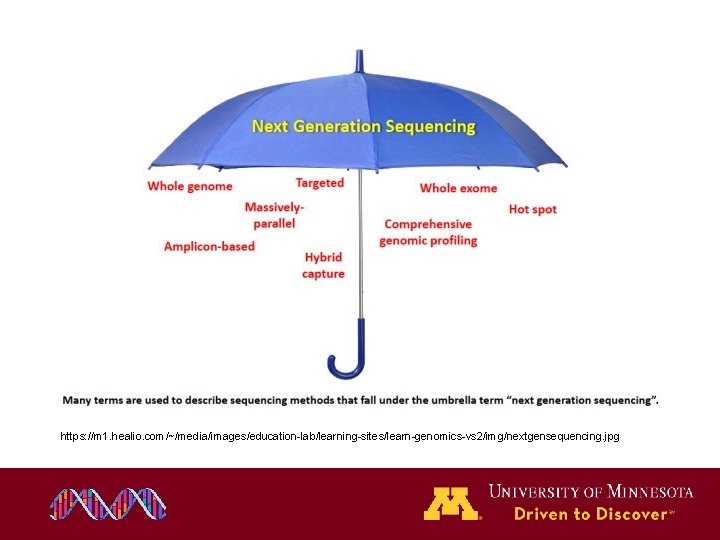 https: //m 1. healio. com/~/media/images/education-lab/learning-sites/learn-genomics-vs 2/img/nextgensequencing. jpg https: //m 1. healio. com/~/media/images/education-lab/learning-sites/learn-genomics-vs 2/img/nextgensequencing. jpg