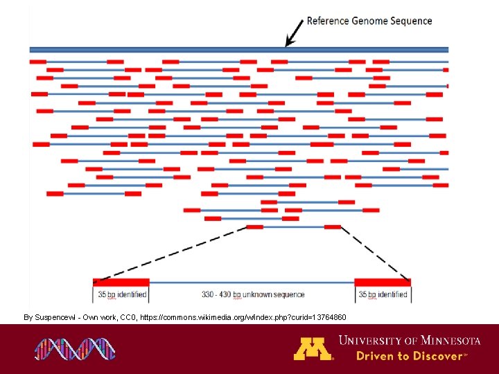 By Suspencewl - Own work, CC 0, https: //commons. wikimedia. org/w/index. php? curid=13764860 By Suspencewl - Own work, CC 0, https: //commons. wikimedia. org/w/index. php? curid=13764860