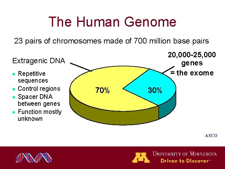The Human Genome 23 pairs of chromosomes made of 700 million base pairs 20, The Human Genome 23 pairs of chromosomes made of 700 million base pairs 20,