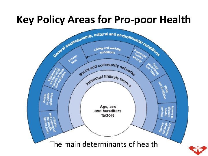 Key Policy Areas for Pro-poor Health The main determinants of health 