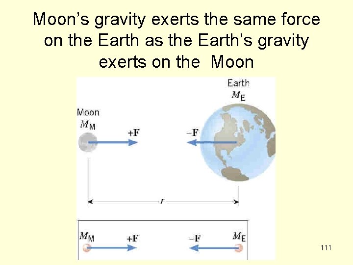 Moon’s gravity exerts the same force on the Earth as the Earth’s gravity exerts