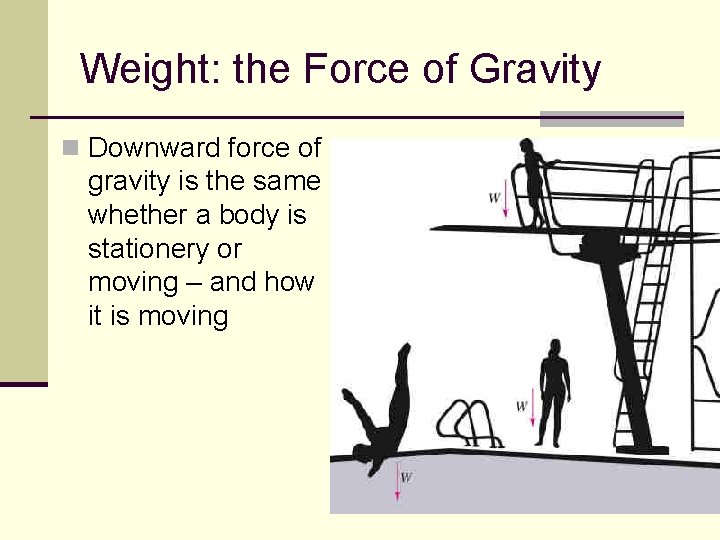 Weight: the Force of Gravity n Downward force of gravity is the same whether