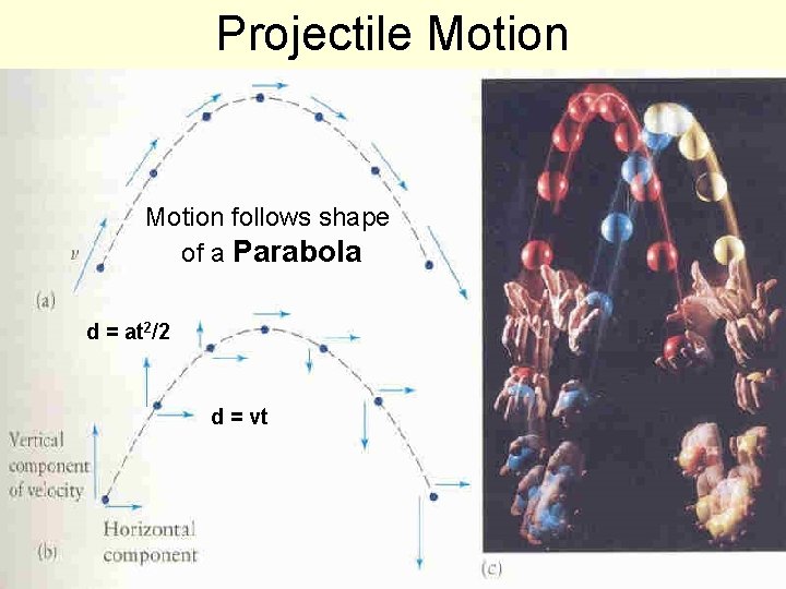 Projectile Motion follows shape of a Parabola d = at 2/2 d = vt