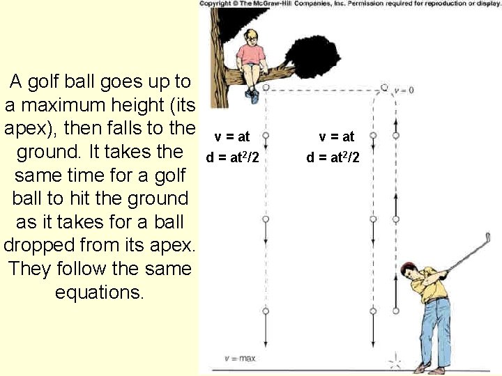 A golf ball goes up to a maximum height (its apex), then falls to
