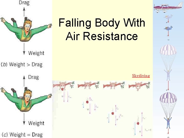 Falling Body With Air Resistance Skydiving 88 