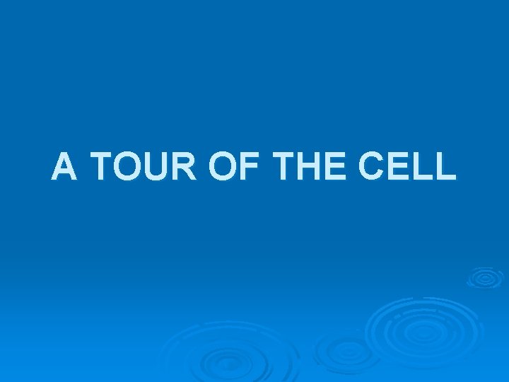 A TOUR OF THE CELL 