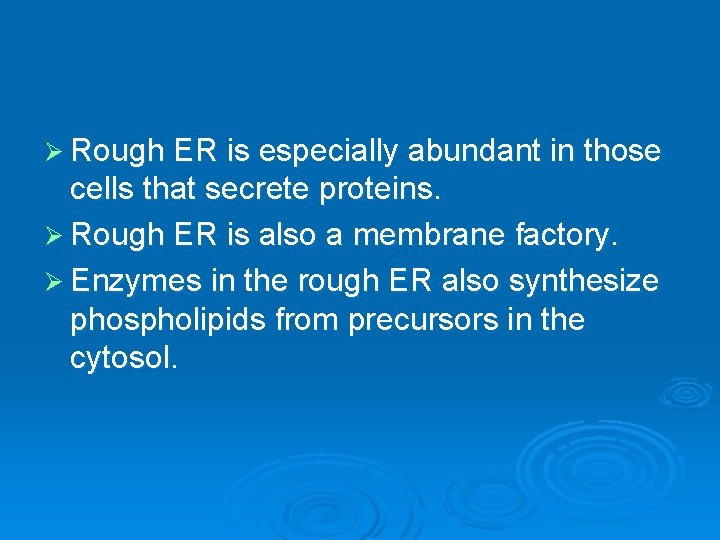Ø Rough ER is especially abundant in those cells that secrete proteins. Ø Rough