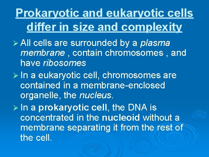 Prokaryotic and eukaryotic cells differ in size and complexity Ø All cells are surrounded