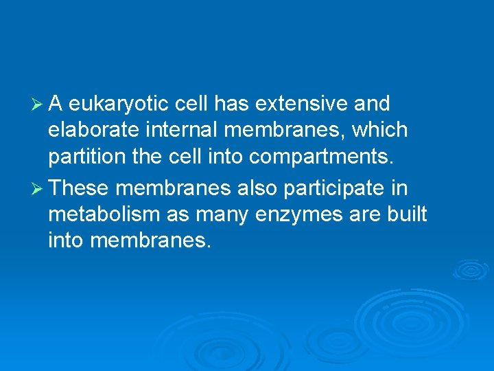 Ø A eukaryotic cell has extensive and elaborate internal membranes, which partition the cell