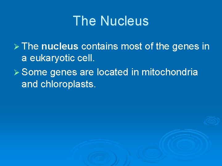 The Nucleus Ø The nucleus contains most of the genes in a eukaryotic cell.