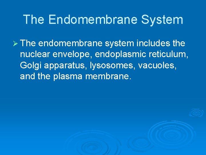 The Endomembrane System Ø The endomembrane system includes the nuclear envelope, endoplasmic reticulum, Golgi