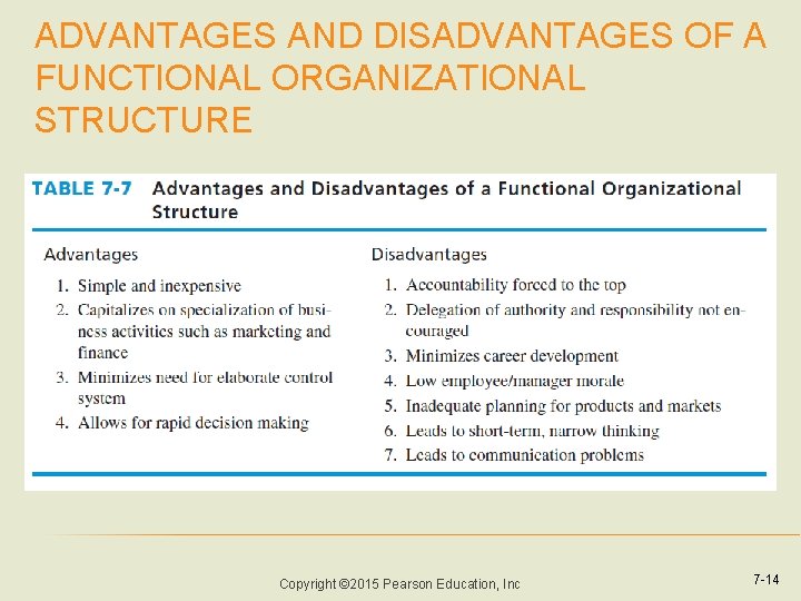 ADVANTAGES AND DISADVANTAGES OF A FUNCTIONAL ORGANIZATIONAL STRUCTURE Copyright © 2015 Pearson Education, Inc ADVANTAGES AND DISADVANTAGES OF A FUNCTIONAL ORGANIZATIONAL STRUCTURE Copyright © 2015 Pearson Education, Inc