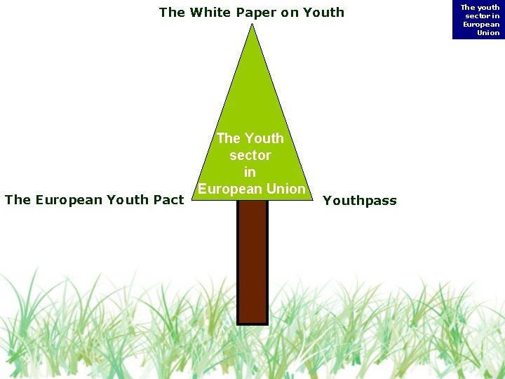 The White Paper on Youth The European Youth Pact The Youth sector in European The White Paper on Youth The European Youth Pact The Youth sector in European