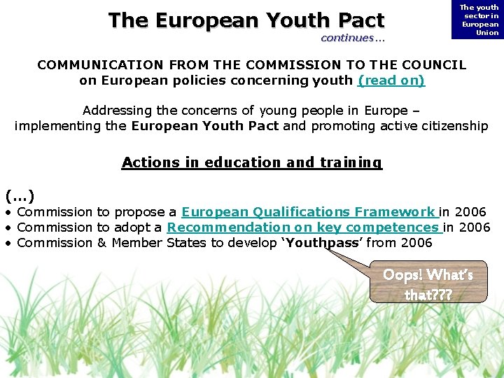 The European Youth Pact continues… The youth sector in European Union COMMUNICATION FROM THE The European Youth Pact continues… The youth sector in European Union COMMUNICATION FROM THE