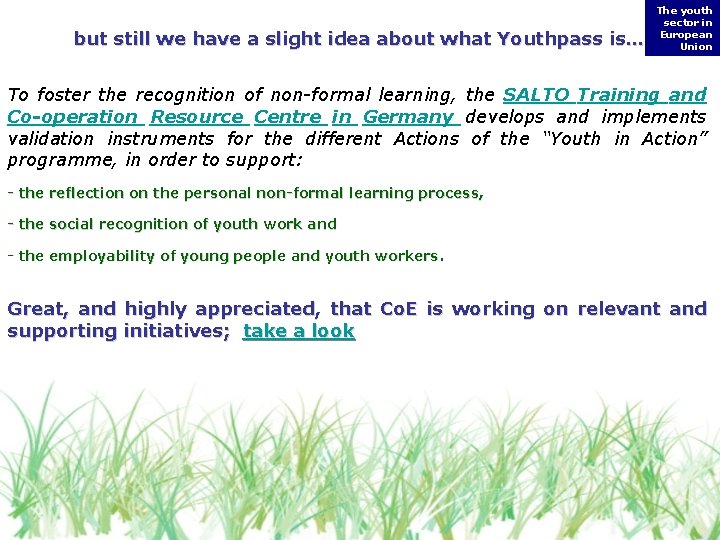 but still we have a slight idea about what Youthpass is… The youth sector but still we have a slight idea about what Youthpass is… The youth sector