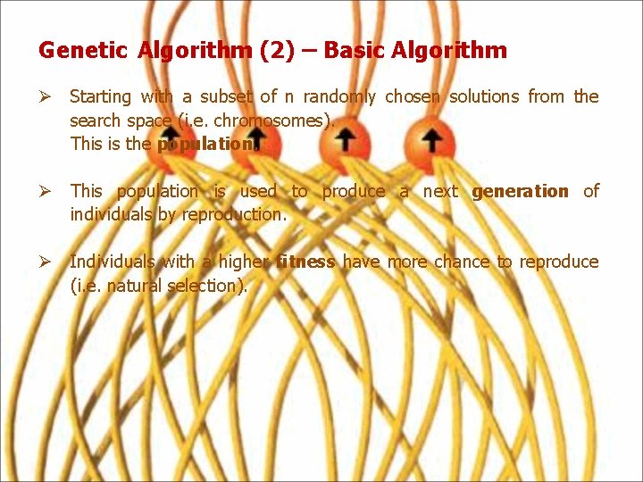Genetic Algorithm (2) – Basic Algorithm Ø Starting with a subset of n randomly