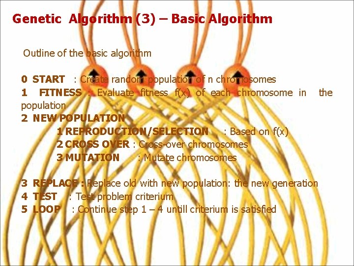 Genetic Algorithm (3) – Basic Algorithm Outline of the basic algorithm 0 START :