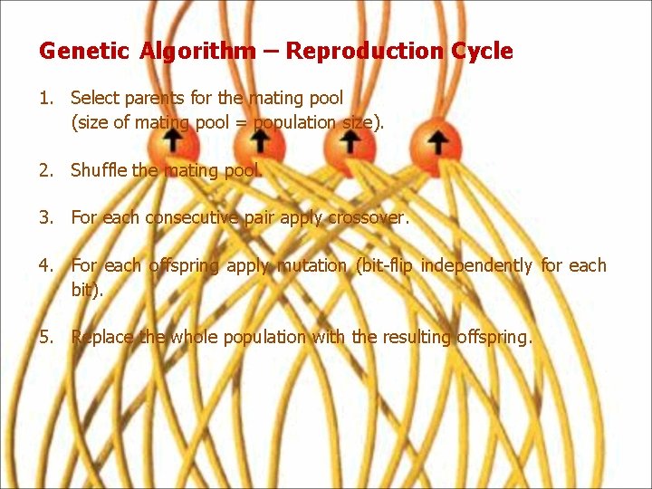Genetic Algorithm – Reproduction Cycle 1. Select parents for the mating pool (size of