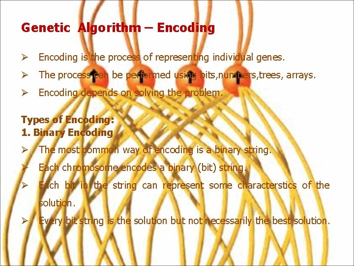 Genetic Algorithm – Encoding Ø Encoding is the process of representing individual genes. Ø