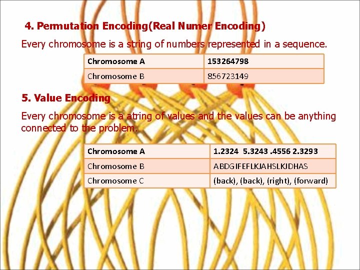 4. Permutation Encoding(Real Numer Encoding) Every chromosome is a string of numbers represented in