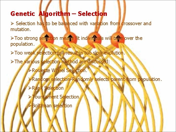 Genetic Algorithm – Selection Ø Selection has to be balanced with variation from crossover