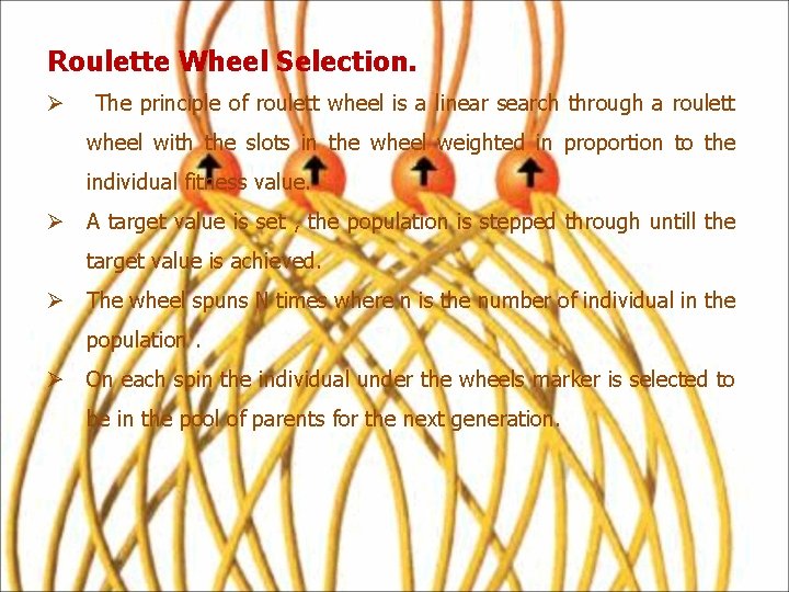 Roulette Wheel Selection. Ø The principle of roulett wheel is a linear search through