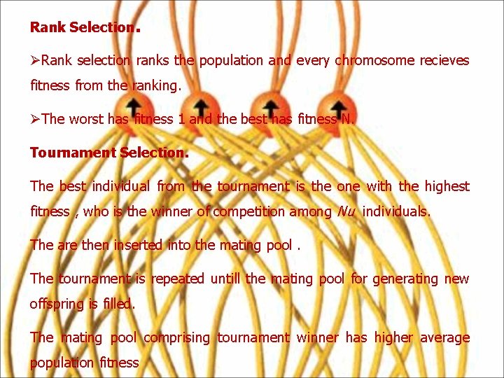 Rank Selection. ØRank selection ranks the population and every chromosome recieves fitness from the