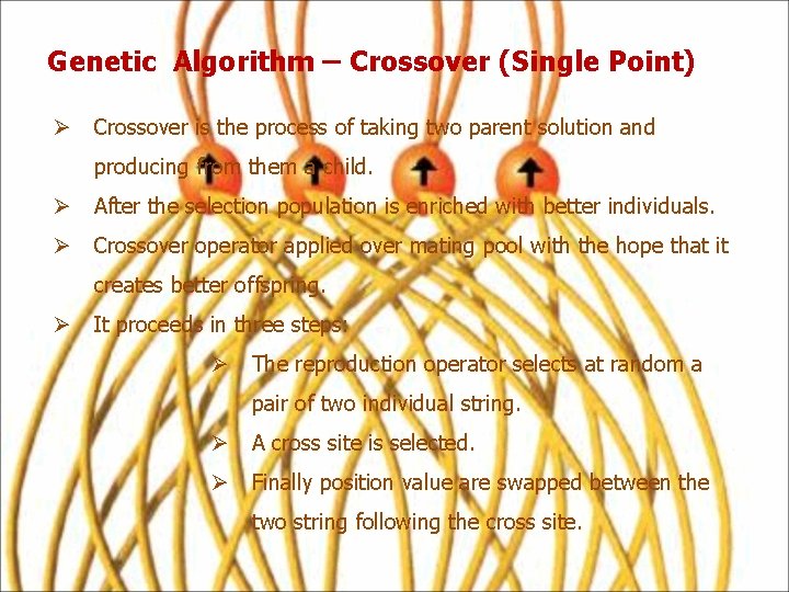 Genetic Algorithm – Crossover (Single Point) Ø Crossover is the process of taking two