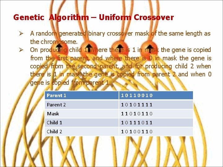 Genetic Algorithm – Uniform Crossover Ø A random generated binary crossover mask of the